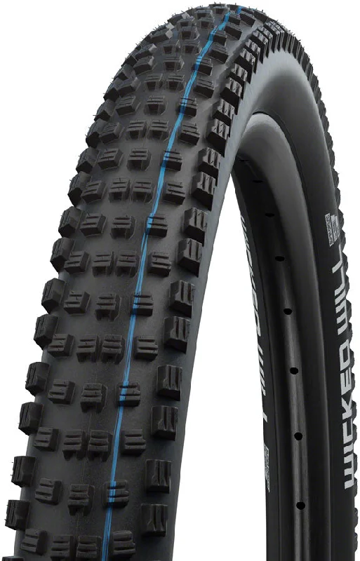 bicycle shoe compatibility-Schwalbe Wicked Will Tire - 29 x 2.6 Tubeless Folding BLK Evolution Line Super Ground Addix SpeedGrip