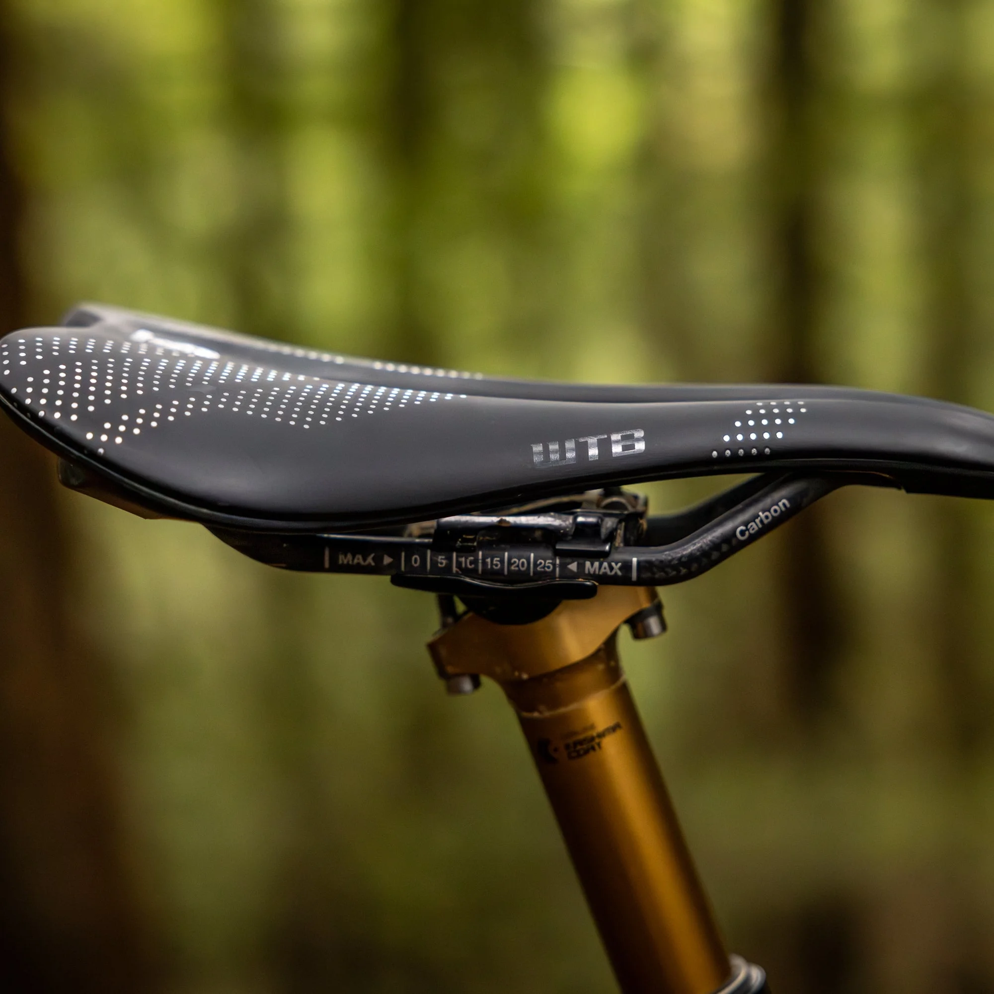 Bicycle Saddle